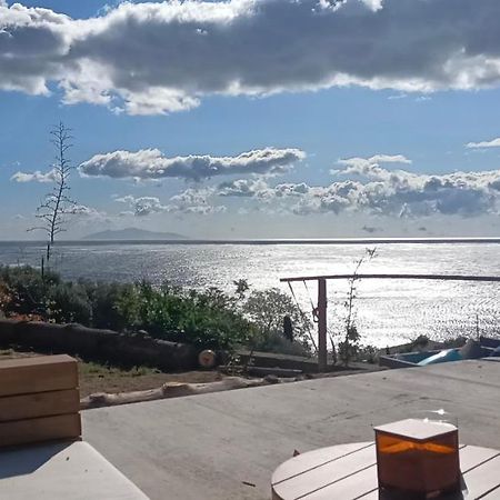 Villa Magnolia Santa-Maria-di-Lota Εξωτερικό φωτογραφία