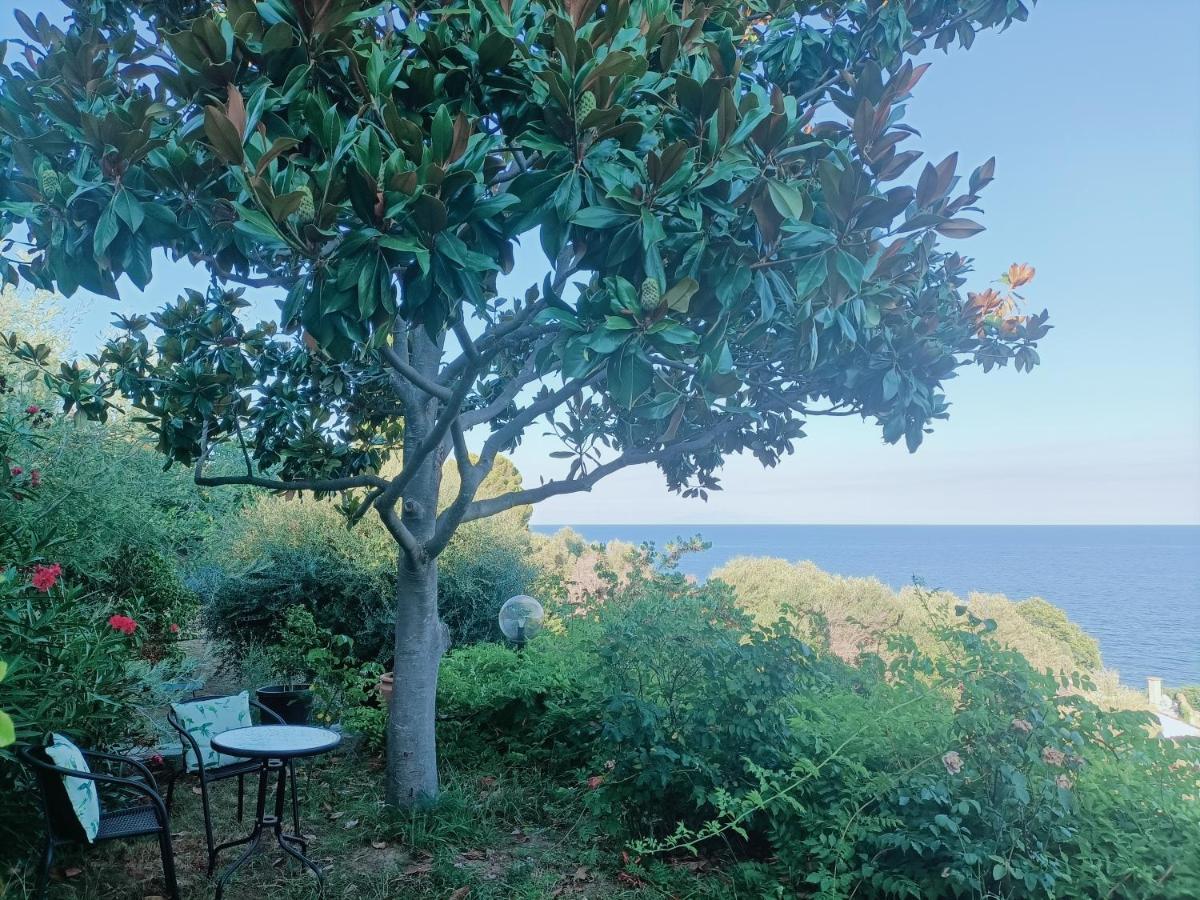 Villa Magnolia Santa-Maria-di-Lota Εξωτερικό φωτογραφία