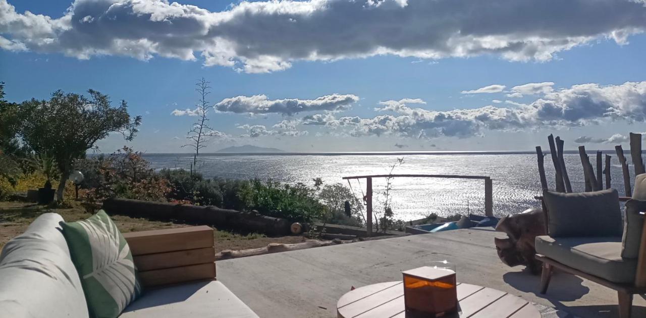 Villa Magnolia Santa-Maria-di-Lota Εξωτερικό φωτογραφία