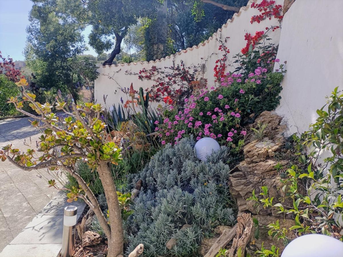 Villa Magnolia Santa-Maria-di-Lota Εξωτερικό φωτογραφία
