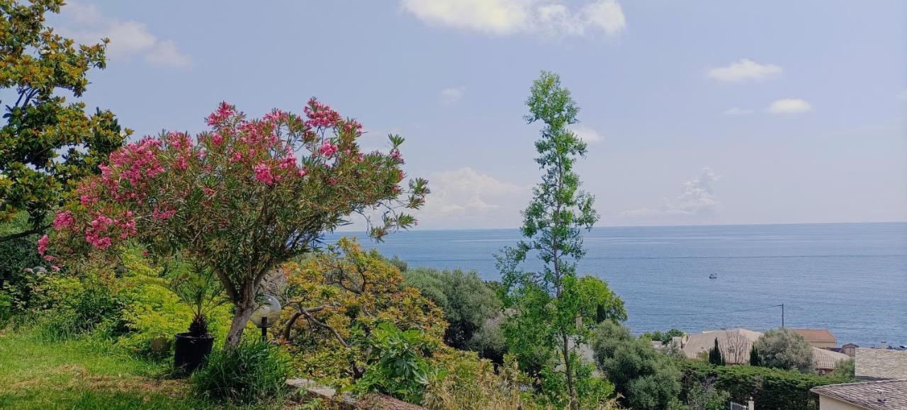 Villa Magnolia Santa-Maria-di-Lota Εξωτερικό φωτογραφία