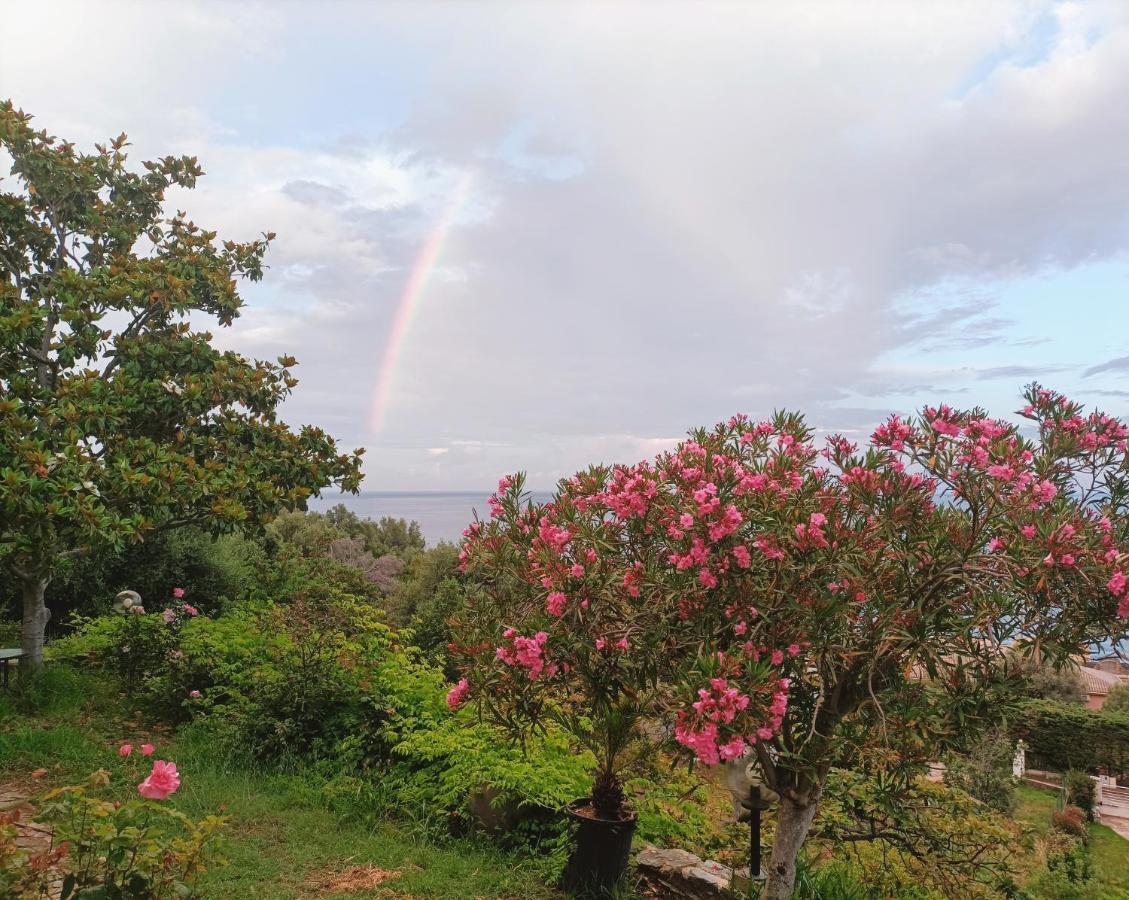 Villa Magnolia Santa-Maria-di-Lota Εξωτερικό φωτογραφία